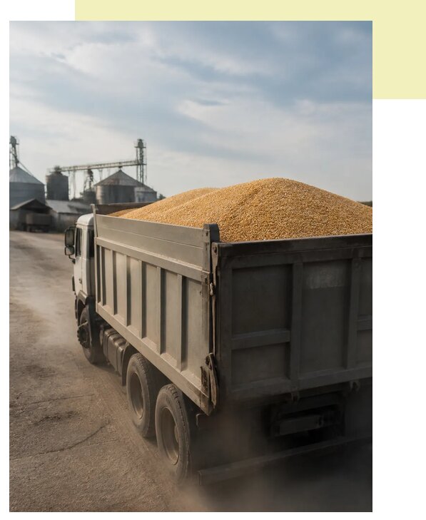 Перевозка сельхозпродукции навалом в Котельников по цене от 3185 р. | Агросервис-Ктн